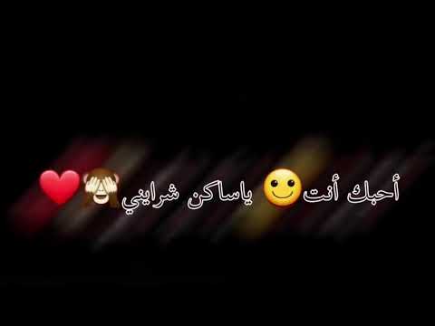 هاشم الحسني احبك انت ياساكن شرايني
