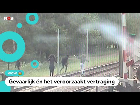 Video: Nieuw Stuntman-spel In De Zomer