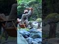 Splitting Wood by the River: A Peaceful Campfire Prep #camping