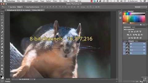 Photoshop cc tutorial for beginners   Chapter 02   Part 05 Bit Depth And Image Information