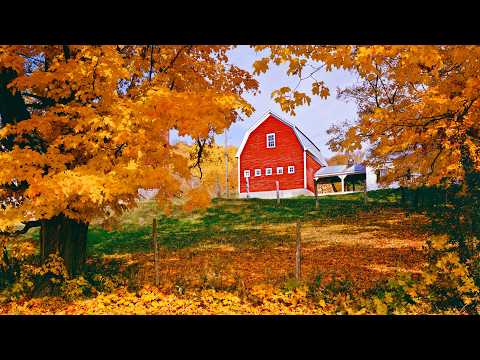 Autumn Country Side in Vermont, Instrumental Acoustic Indie/Folk Music by Open Road Folk Music