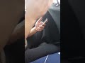 لطمية قرداحيون ردا على لطمية جدح من درعا الشرر 12 8 2013