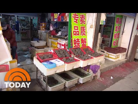 Video: How and where did the coronavirus originate in China in 2020 Video: How and where did the coronavirus originate in China in 2020