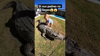 Est Escena Fue Grabada Por Una Cmara reels fblifestyle humor viral