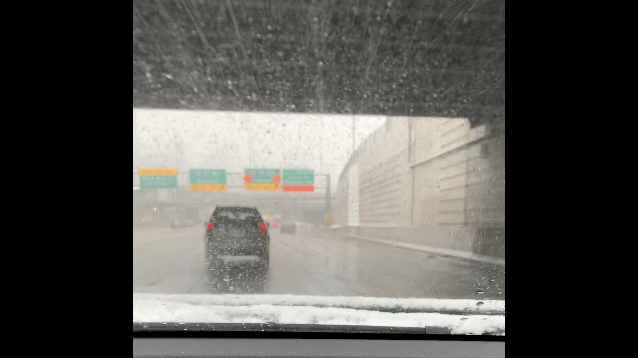 The Prince Of Venus - Before I Die (Official Video)