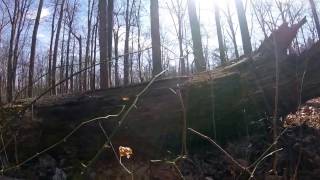 Test footage with GoPro by Dan Donohue 14 views 7 years ago 10 seconds