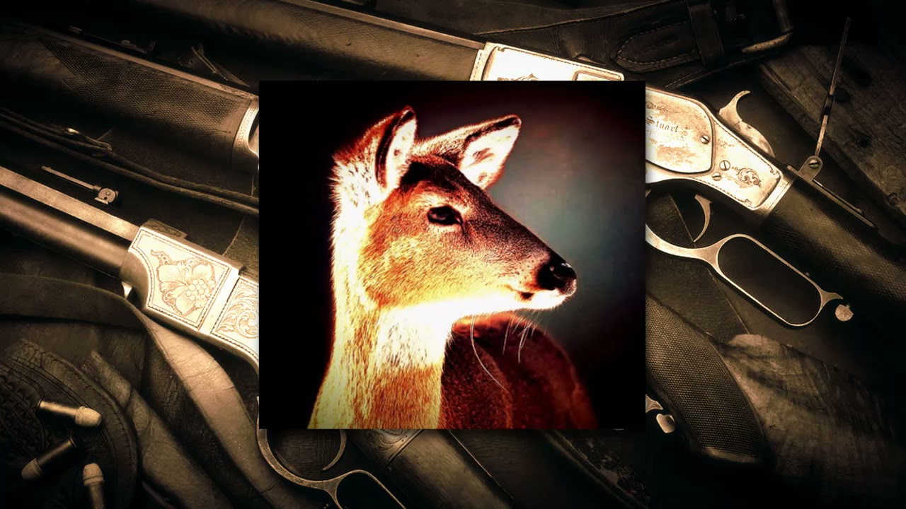 Waidmanns Heil - Rammstein (slowed + reverb)