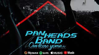 : PANHEADS BAND  SICK OF IT (Skillet Russian Cover)