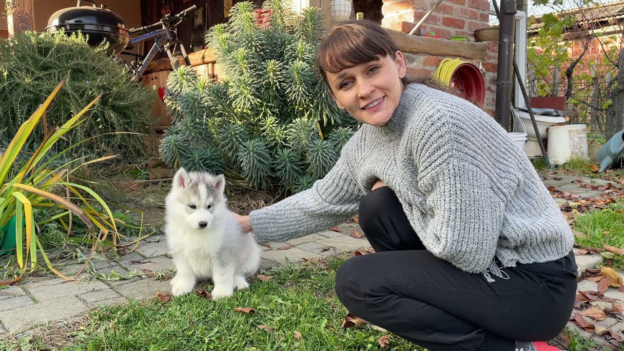 Zadnje druženje sa štencima prije napuštanja