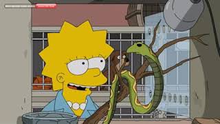 Os Simpsons Em Português- Lisa A Veterinária Parte3