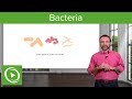 Bacteria: Structure & Types – Microbiology | Lecturio