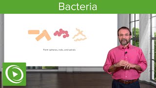 Bacteria: Structure \& Types – Microbiology | Lecturio