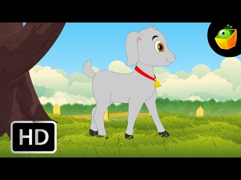 Aattu Kutty - Goat Kid - Children Tamil Nursery Rhymes Chellame Chellam Volume  6