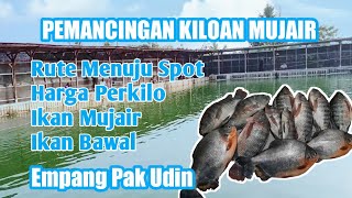 PEMANCINGAN KILOAN MUJAIR BASMOL #mancingmujaer #mancingmujair #mancingkiloan