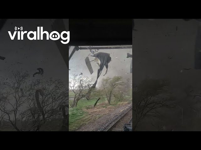 Train Conductor Finds Himself Caught In Tornado's Path || ViralHog class=