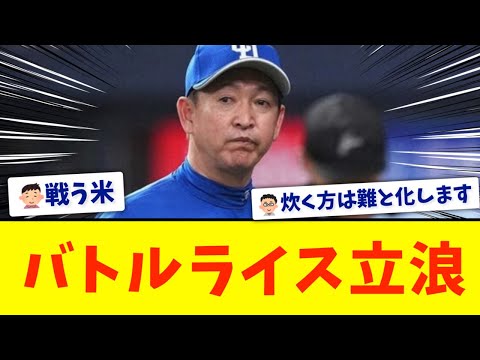 [Fighting Rice] Battle Rice Tatsunami [Chunichi]