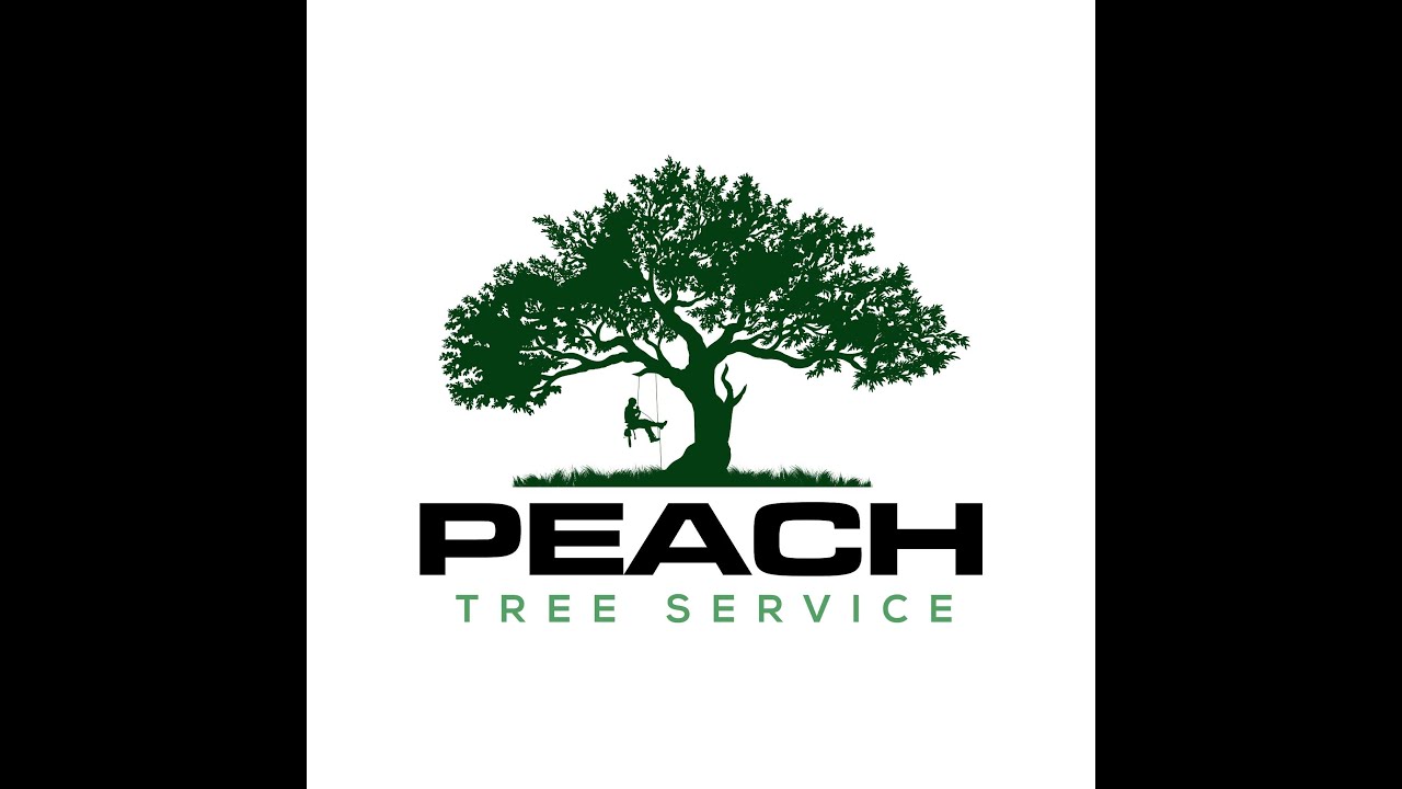 Peach Tree Services Professional Tree Removal Services In Richmond VA peach-tree-services-professional-tree-removal-services-in-richmond-va