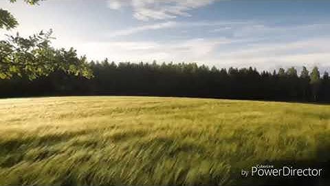 #تلاوة صباحيه هادئه تشعرك براحه لا توصف القرآن الكريم #