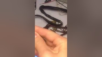 Powercommander not working