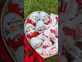 Сладкий бокс для нее с Kinder, Nutella и конфетами Rafaello - фото №1