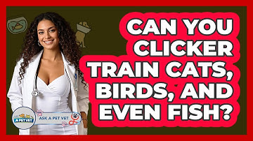Can You Clicker Train Cats, Birds, And Even Fish? - Ask A Pet Vet