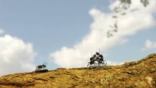 Minuscule Sound Design By Tzu Teng Liu