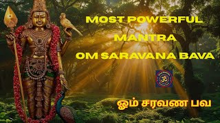 🔴LIVE | OM Saravana Bava | MOST POWERFUL  MANTRA OF LORD murugan |  ஓம் சரவண பவ