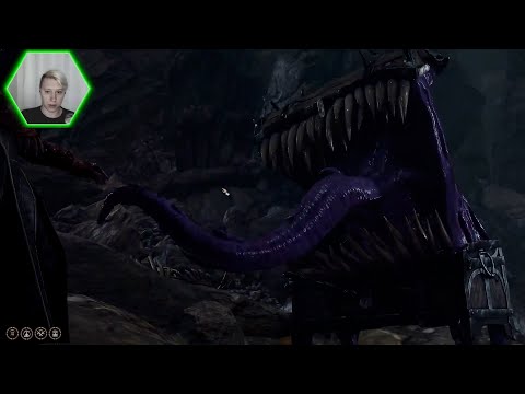 Тайник Арфистки - Baldur's Gate 3 #29