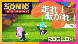 【Roblox】初見プレイでもめちゃ楽しめるソニック part1 | ロブロックス【のんびり実況】