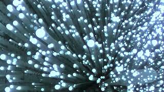 雪轴/Axis of Frost