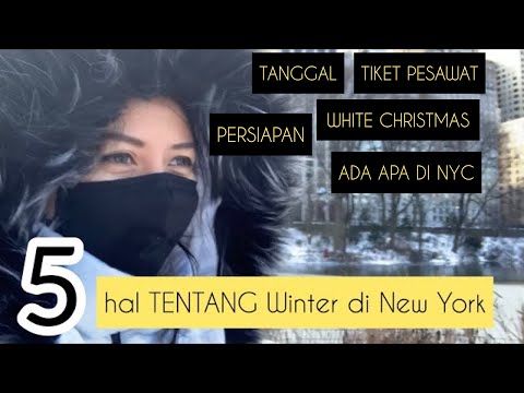 Video: Hal yang Dapat Dilakukan di Kota New York pada Hari yang Dingin dan Bersalju