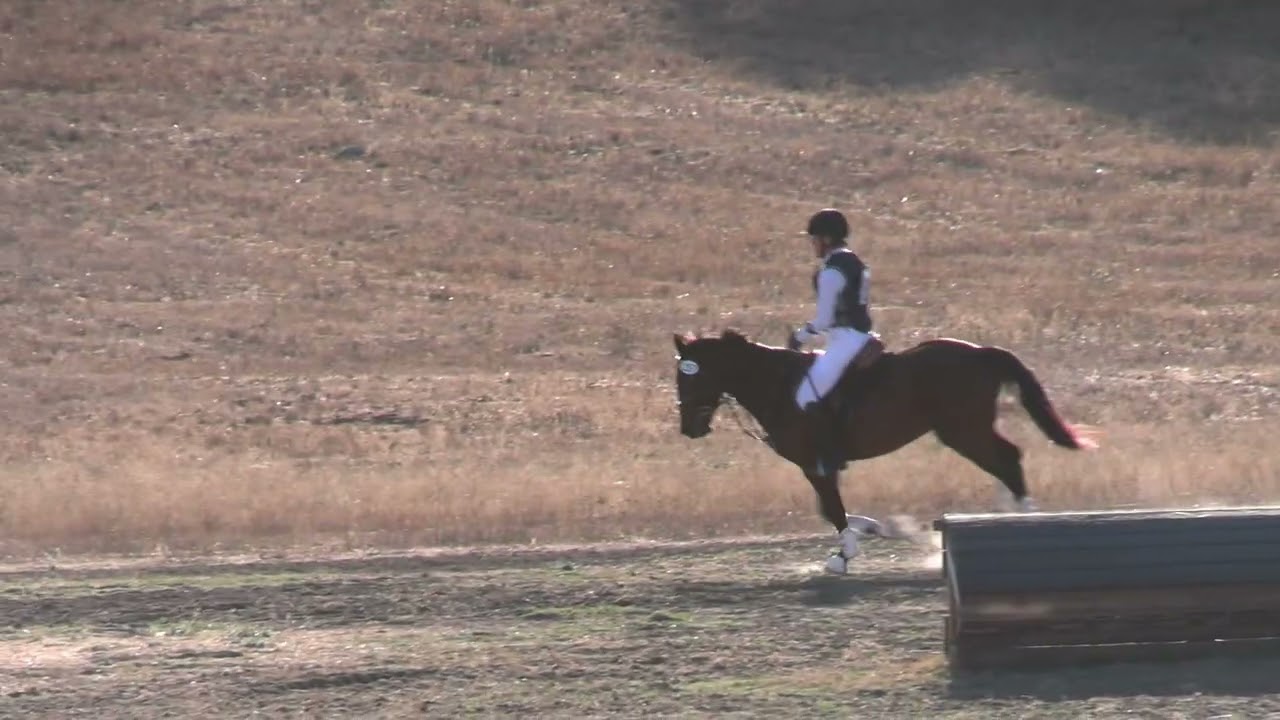 Sara Bayles (Plain Bagel HE) - Woodside Fall International October 2025 - Cross-Country