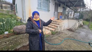 Kavak ağacı gibi tüm emeklerim israf oldu İzmir bahçe moralim bozuldu ağaç yoksa tarla birşeydeğil