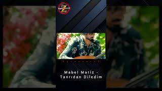 Tanrıdan Diledim...