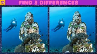 【Find the Difference】Brain Game Puzzle Diving 87
