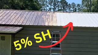 Soft Washing A Nasty Metal Roof! screenshot 4