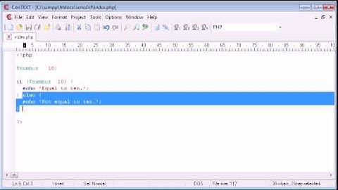 Beginner PHP Tutorial 19 if else if Statement