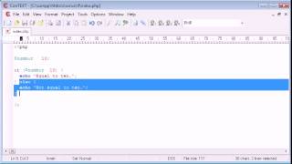 Beginner PHP Tutorial 19 if else if Statement