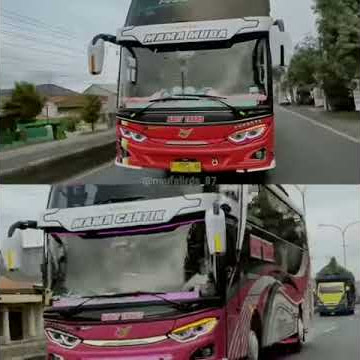 STORY WA BUS NAFIT TRANS OLENG TERBARU 20 DETIK 2020 AKHIR TAHUN