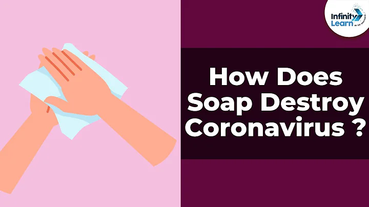 How Does Soap Destroy Coronavirus - Coronavirus Part 5/7 | Don't Memorise