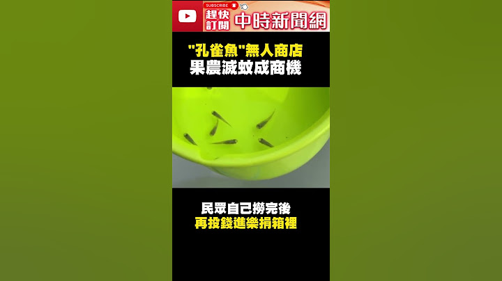 自己撈！無人店「孔雀魚」整桶才50元　果農滅蚊成商機 @ChinaTimes #shorts