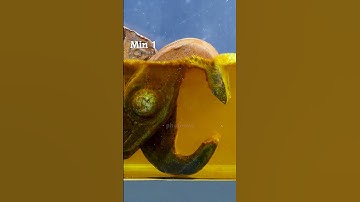 ACID RUST REMOVAL