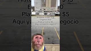 #tutorial #humor #memes #comedia #comentaycomparte #mono #monkey #fypシ #automobile #dúo  #reels