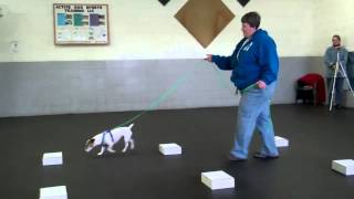 Zak ORT-Birch 2-17-13 PASS