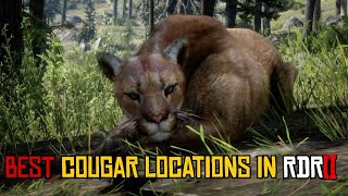 BEST Cougar Locations in RDR2 (short & easy guide) Wealth