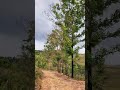 Você tem medo de chuva? #serradacanastra #natureza #roots #vlog #vidanocampo
