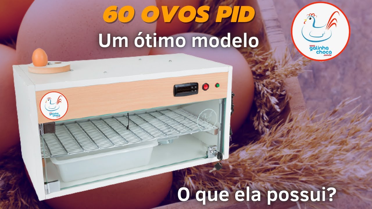 Chocadeira 60 ovos ALTA ECLOSÃO/ conheça nossos produtos