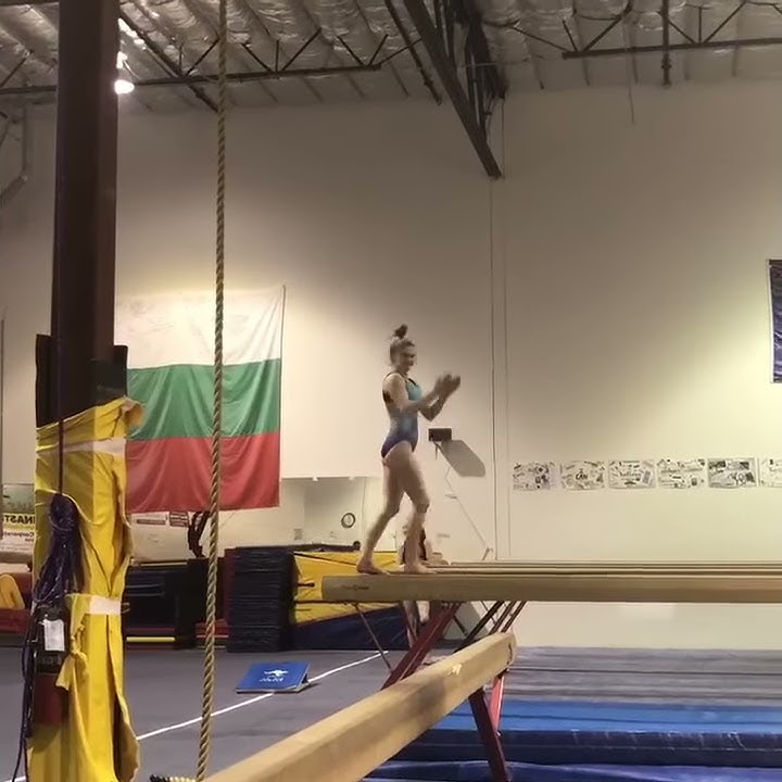 Danika kirstine L10 region 1 gymnastics