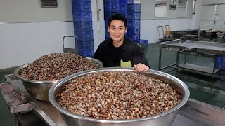 湖南小伙卖螺丝，6万斤活螺循环养，搅拌机一次洗1吨，高峰日产2万斤