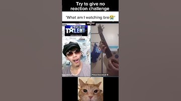 PART 32 | Me as a Cat Trying to Understand Humans #top5 #catvideos  #laughingcat #reactionvideo #cat